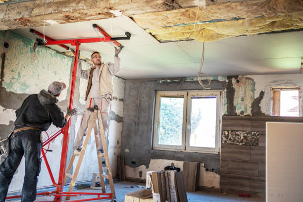 Best Insulation Maintenance and Repair in Three Oaks, MI